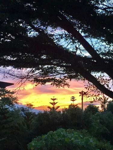 Hotel Khaoyai Nature Retreat