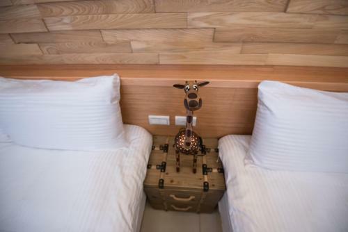 Catt Leya B&B Hotel