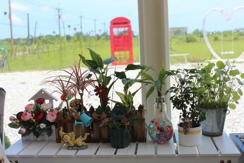 Mini Home B&B