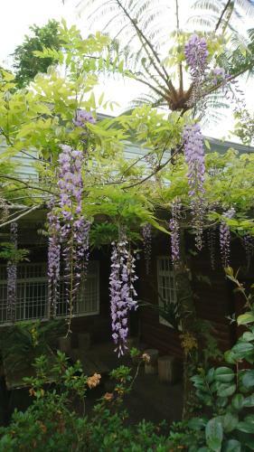 An Yun Mountain Homestay