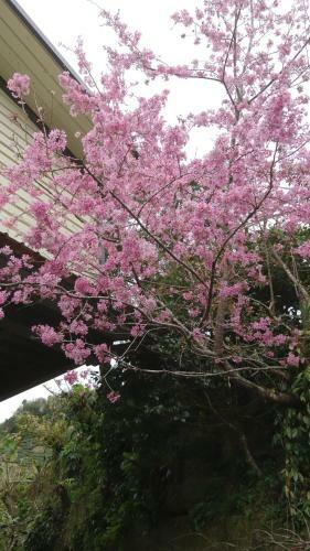 An Yun Mountain Homestay