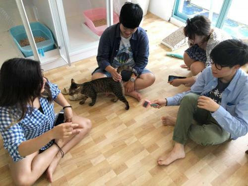 Apartamento Meo-woo Cat Travel