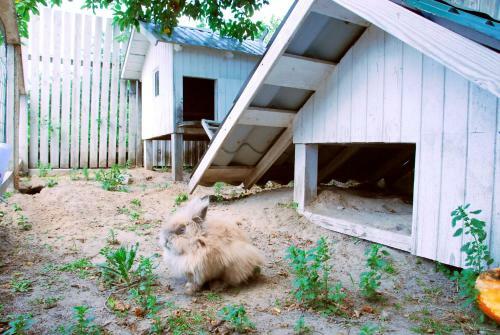 Hotel Maison Blanche Ecohouse