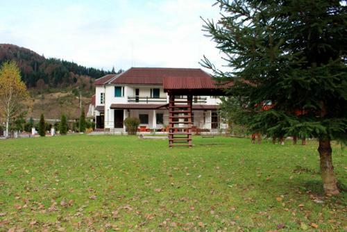Hotel Beregynia