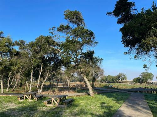 Albergue Granny�s Guesthouse