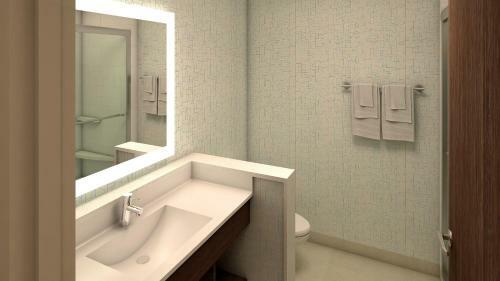 Hotel Holiday Inn Express & Suites - Marion