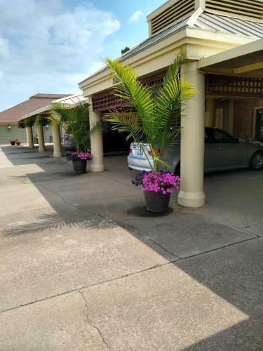 Motel Southern Comfort Suites