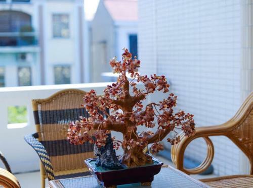 Nam Kh�nh Coffee & Homestay