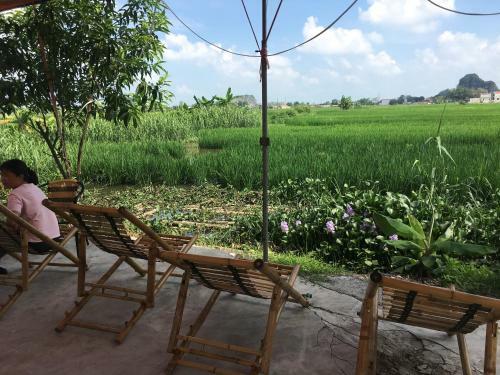 Tam Coc Rice Fields Homestay