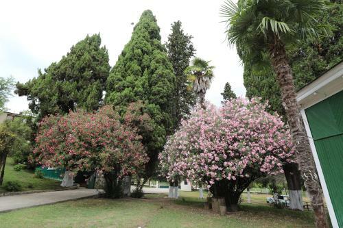 Posada Zolotoy Bereg Baza Otdyha