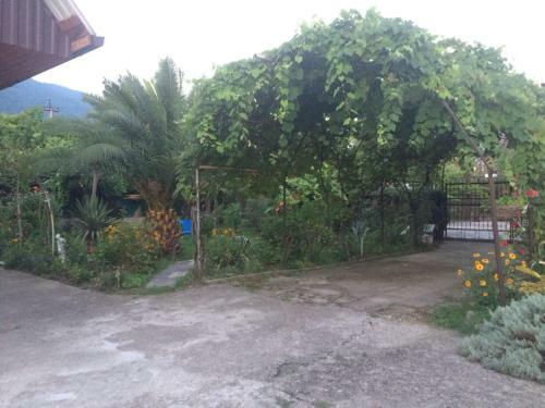 Bed & Breakfast Guesthouse Mira