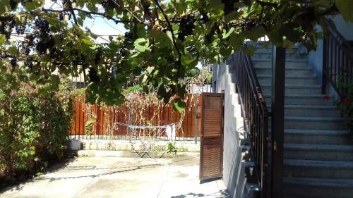 Hostal Guest House Zelenyi Dvorik