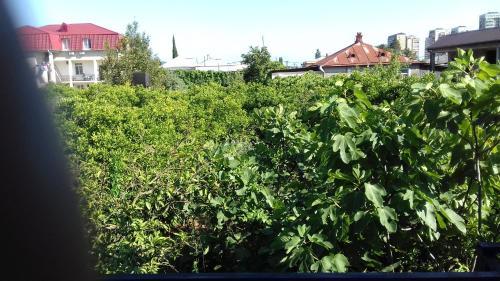 Hostal Guest House Zelenyi Dvorik