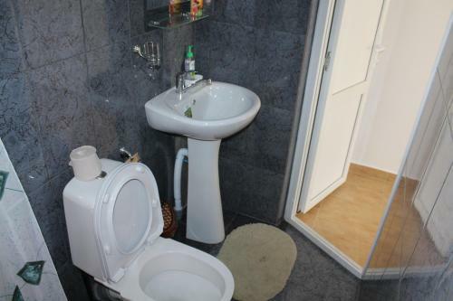 Hostal Guest House U Aleny