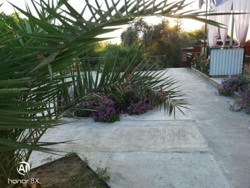 Hostal Guesthouse Aza&karlen