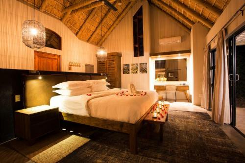 Lodge Misava Safari Camp - Klaserie Drift