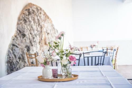 Hostal Bio Guesthouse Kmetija Toncevi