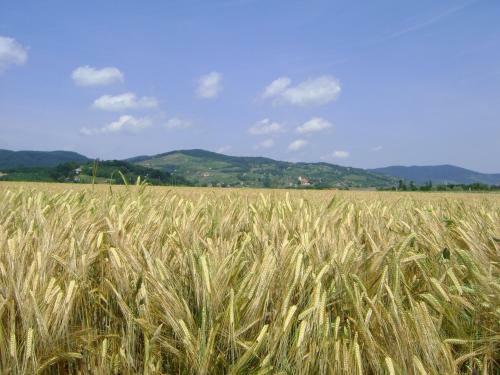 Agroturismo Merke? Guest House