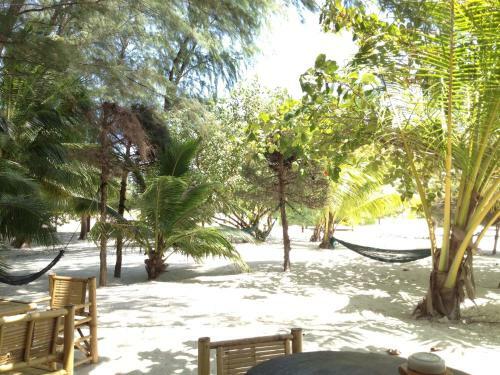 Hotel Malibu Beach Bungalows