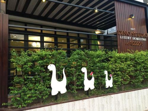 Hotel Dino Studio Luxury Homestay