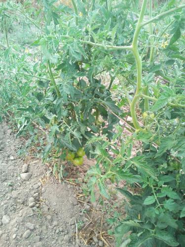 Hotel Encosta De Nantes