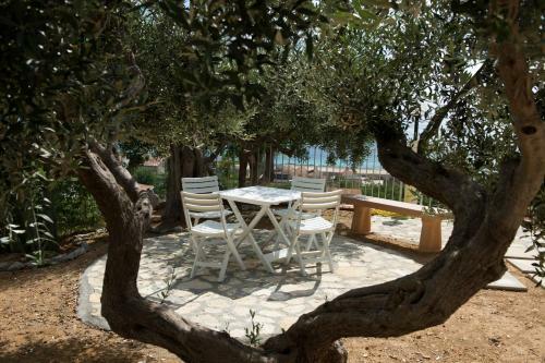 Bed & Breakfast L'ulivo Sul Mare