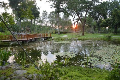 Amrita Green Retreat