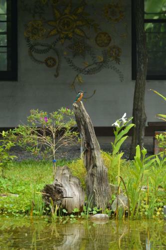Amrita Green Retreat