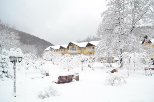 Hotel Belle Royalle