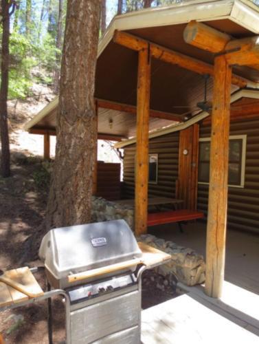 Apartamento Ponderosa Cabin