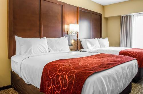 Hotel Comfort Suites Manheim - Lancaster