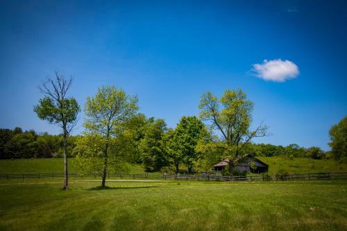 Bed & Breakfast Inn At Tyler Hill
