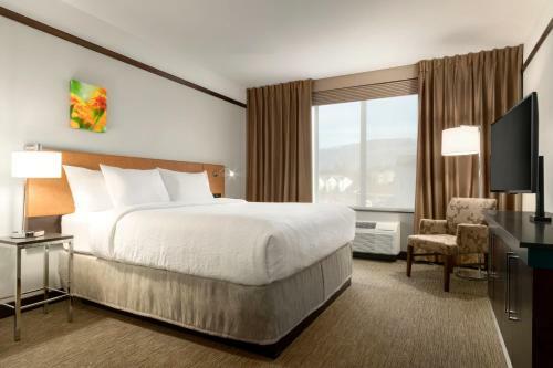 Hotel Hilton Garden Inn Medford