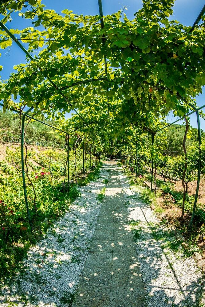 Agroturismo Agriturismo Valle Di Marco