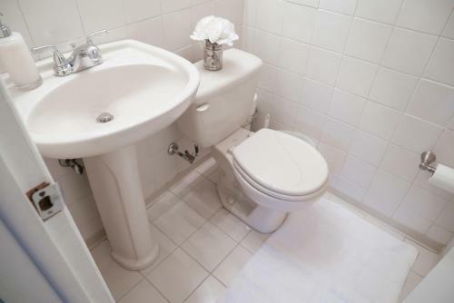 Beautiful Home! 25 Minutes To Downtown Chicago