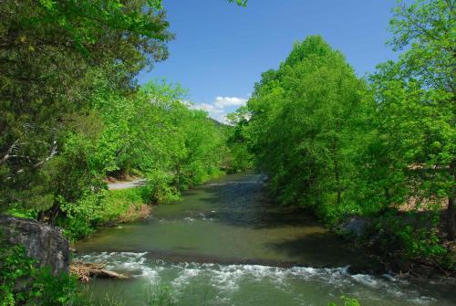 River View