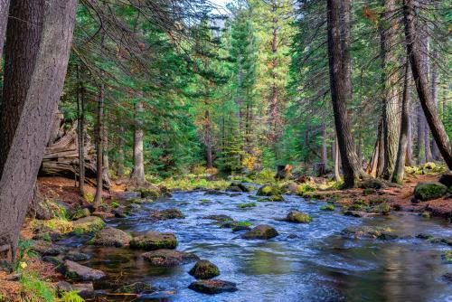 Black Butte Ranch: Partridge Foot Cabin Lot #rr83