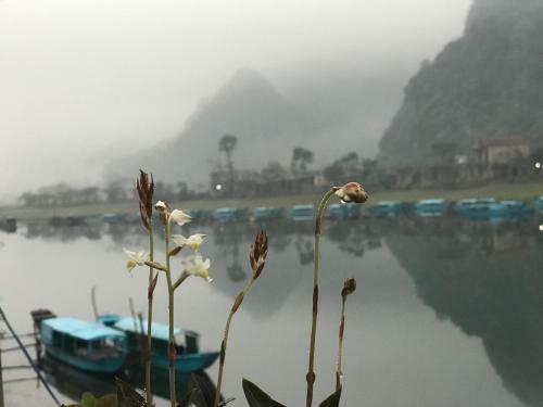 Lodge Phong Nha Coco House
