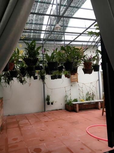 Bed & Breakfast Hue Homestay Riverside