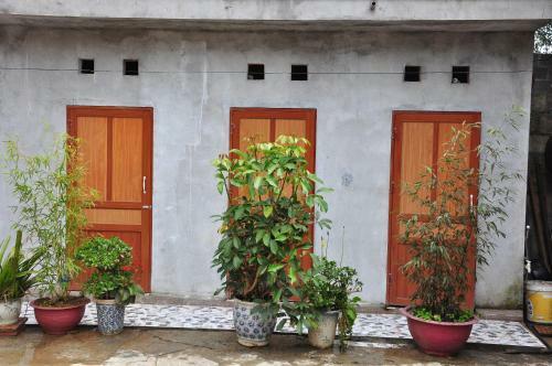 Agroturismo Nh� C? Homestay