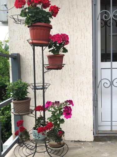 Hostal Guest House Y Morya