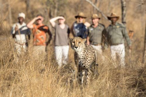 Becks Safari Lodge