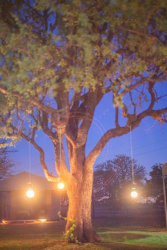 Tented Adventures Pilanesberg
