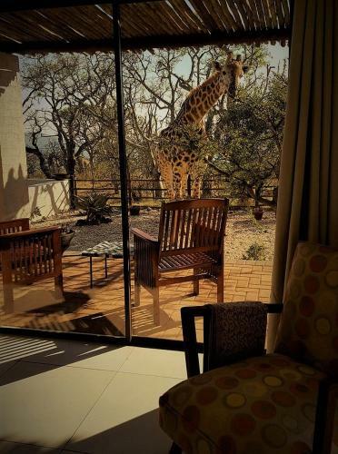 Lodge Graceland Eco Retreat