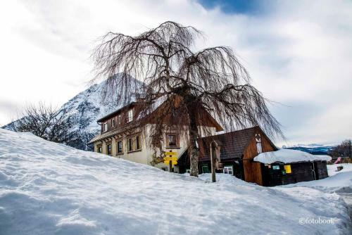 Apartamento Gasthof Dachsteinblick