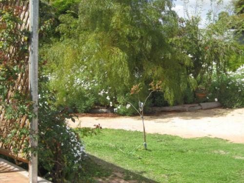 Amalie Cottage Waikerie