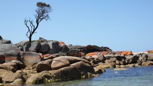 Bay Of Fires Seachange