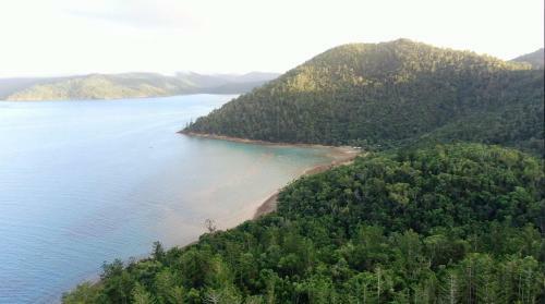 Hotel Elysian Retreat - All Inclusive Retreat