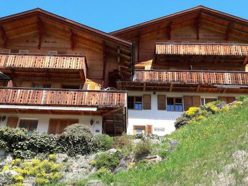 Apartment Chalet Bluemew�g