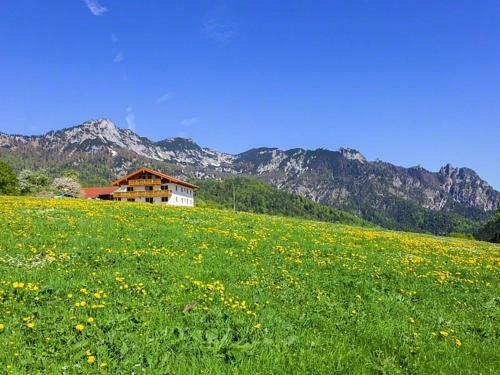 Apartamento Ferienwohnung Roislerlehen